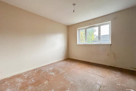 IMG 7299 T202511061259.jpg