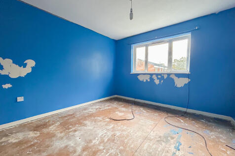 IMG 7306 T202511061258.jpg