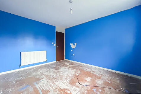 IMG 7307 T202511061258.jpg