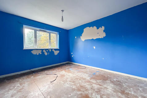 IMG 7308 T202511061258.jpg