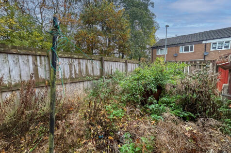 IMG 7295 T202511061258.jpg