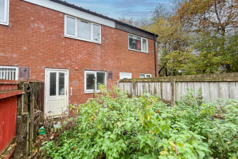 IMG 7296 T202511061258.jpg