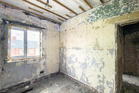 IMG 7627 T202511121527.jpg