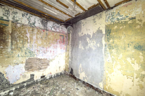 IMG 7630 T202511121527.jpg