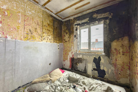 IMG 7618 T202511121527.jpg