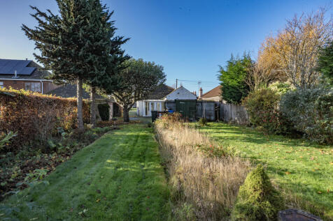 DSC04920 T202511180956.jpg