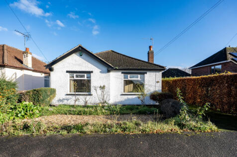 DSC04926 T202511180957.jpg