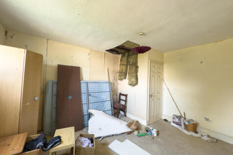 IMG 1333 T202507171146.jpg