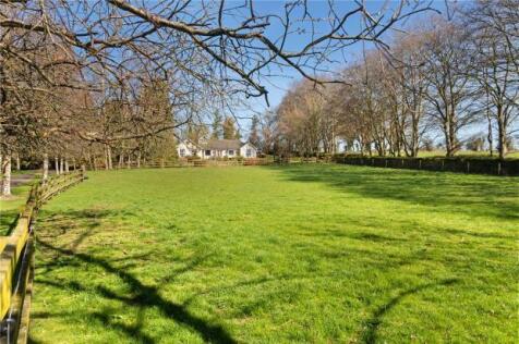 Highfield