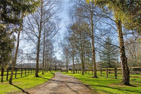 Highfield