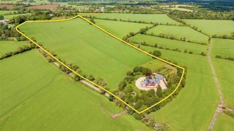 Meadow View