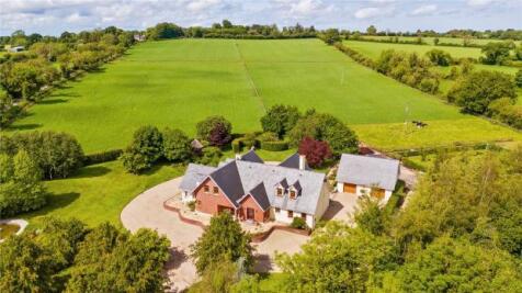 Meadow View