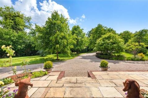 Meadow View