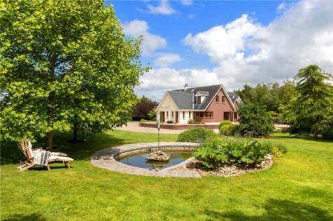 Meadow View