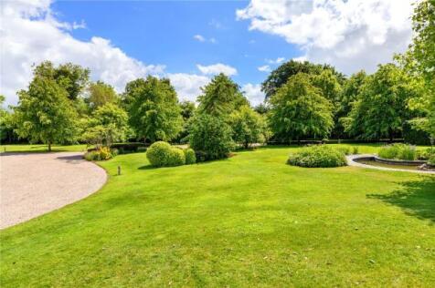 Meadow View