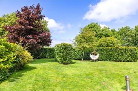 Meadow View