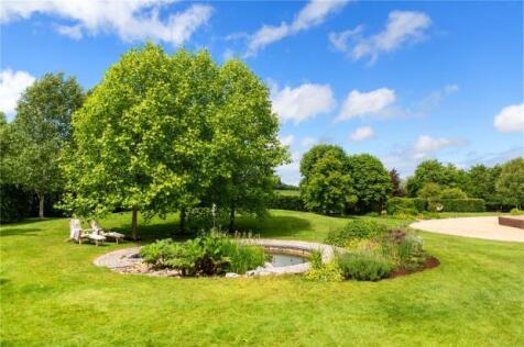 Meadow View