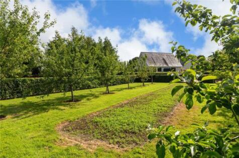 Meadow View