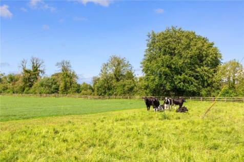 Meadow View