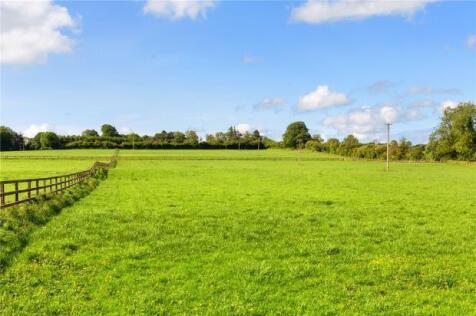 Meadow View