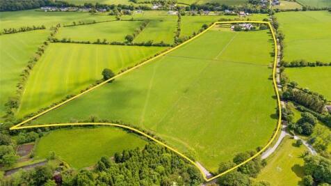 Meadow View