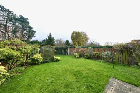 Back Garden