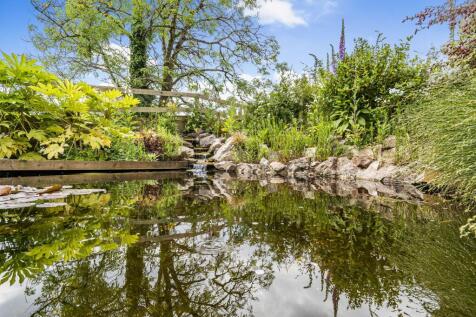 Property Image 43