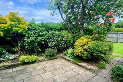 rear patio 1.jpg