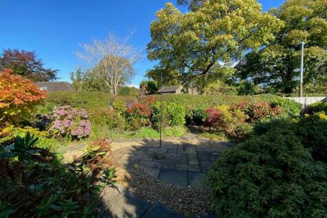front garden.jpg