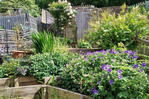 Garden Photo 1 .jpg