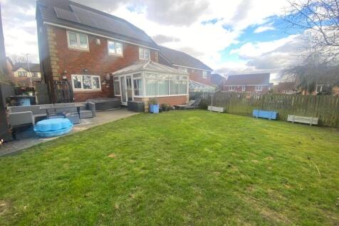 BACK GARDEN 1.jpg