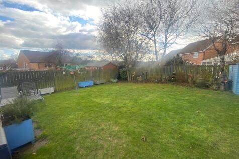 BACK GARDEN.jpg