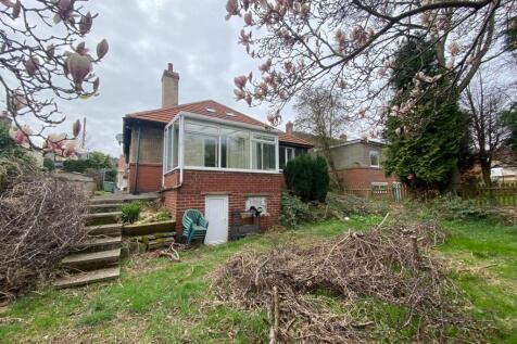 rear garden.jpg