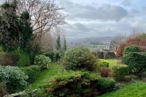 new garden picture (2).jpg