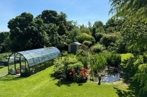 Greenhouse Pond.jpg