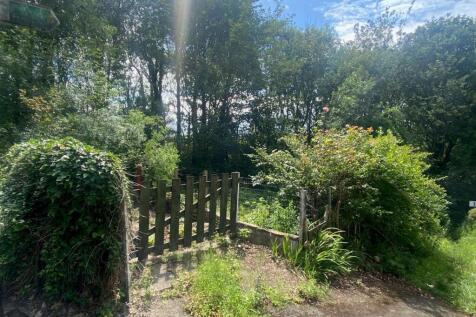 new side garden.jpg