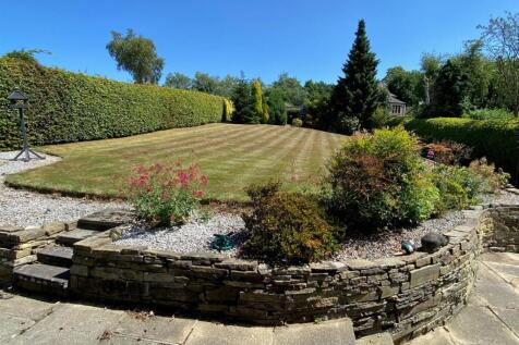 rear garden.jpg