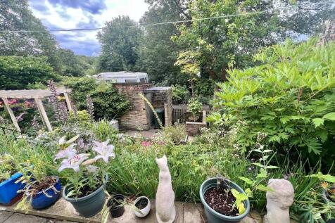 garden.jpg