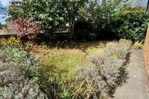 side garden.jpg