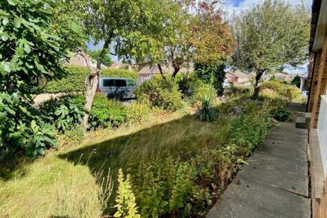 garden.jpg