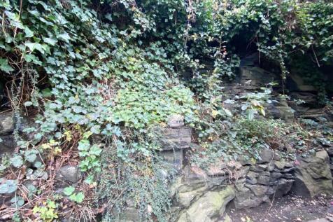 rear of property.jpg