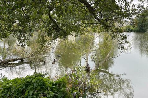 Lake.jpg