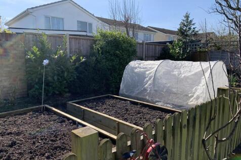Veg Garden.jpg
