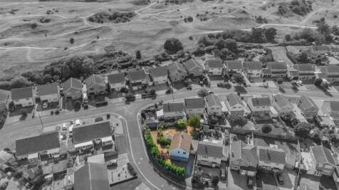 DJI_0431-2.jpg