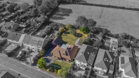 DJI_0556-2.jpg