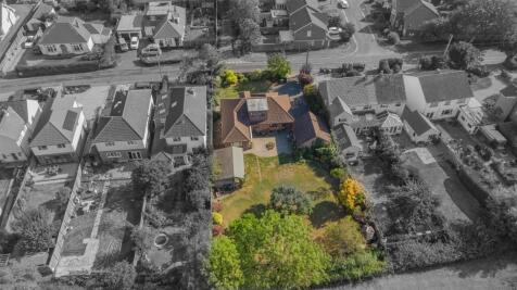 DJI_0547-2.jpg