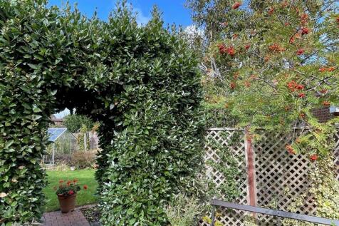 Garden 3.jpg