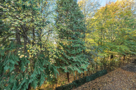 1371299-7-68f742a...