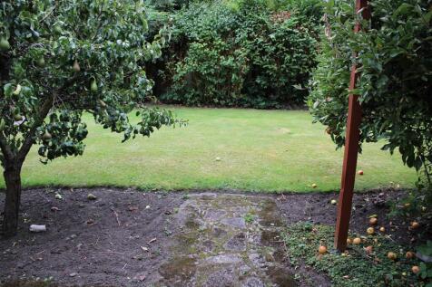 Garden Photo