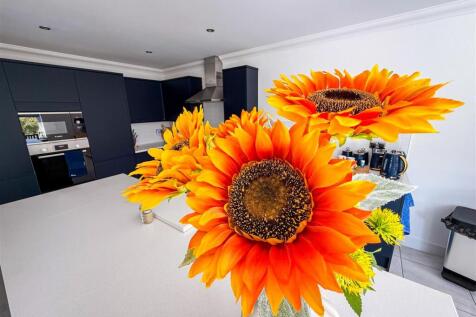 KITCHEN AREA VIEW